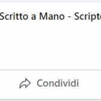 stellaranucci