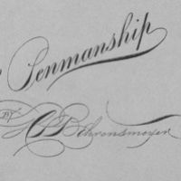 Manuale pratical penmanship